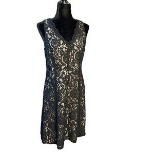Stunning, Ann Taylor Loft / Black Lace / Sleeveless, V-neck, Zipper Dress Size 8